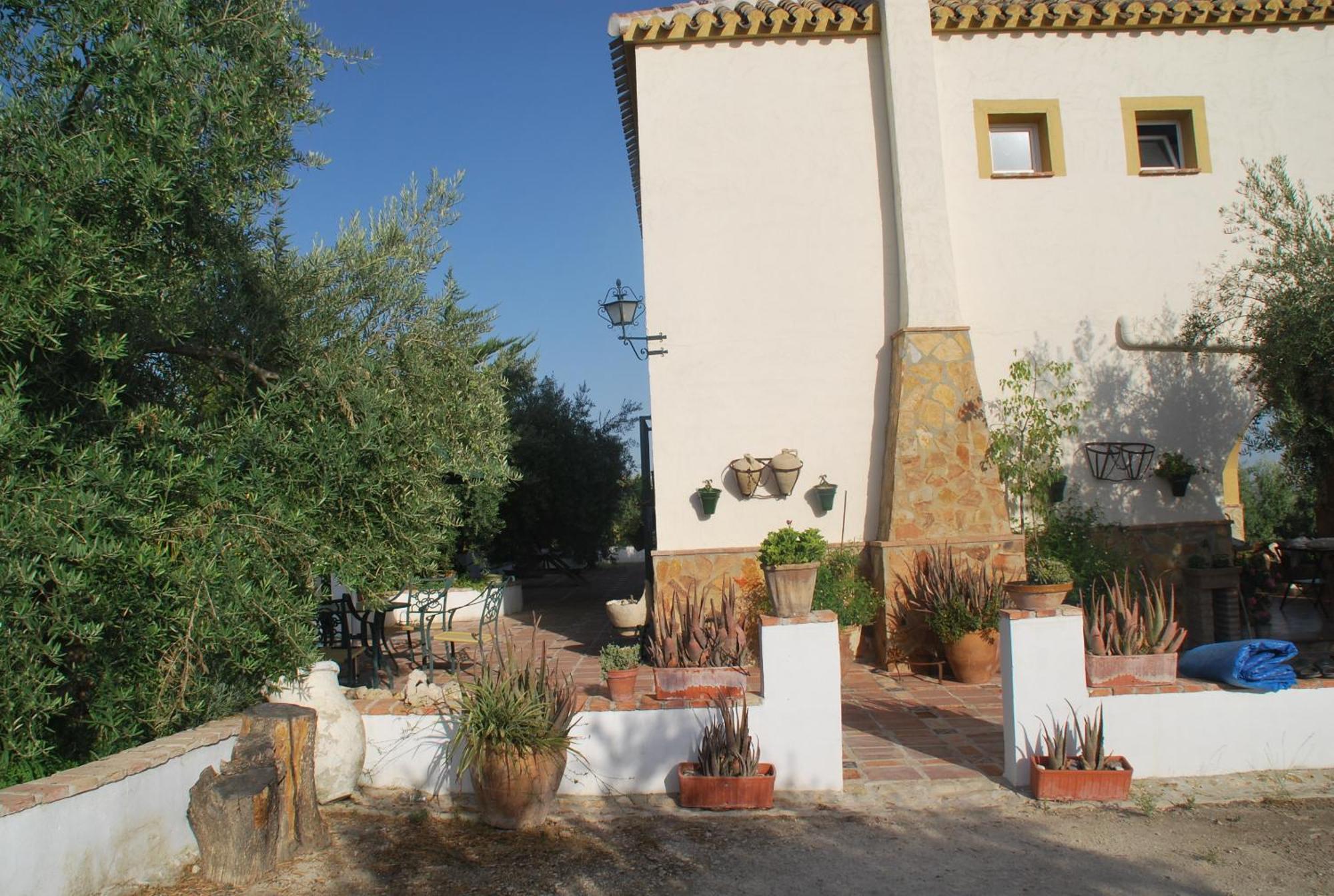 Agroturismo Ecologico El Cortijillo Luque Buitenkant foto